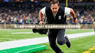 深入解析VPN脚本（Pak）在企业网络中的应用与优化策略