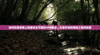 如何在服务器上搭建安全可靠的VPN服务，从零开始的网络工程师指南