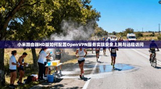 小米路由器HD版如何配置OpenVPN服务实现安全上网与远程访问
