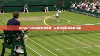 Juniper VPN路径配置详解，从基础到高级实践指南