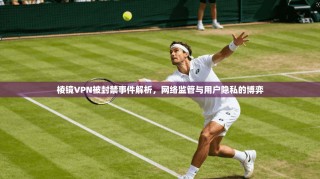 棱镜VPN被封禁事件解析，网络监管与用户隐私的博弈