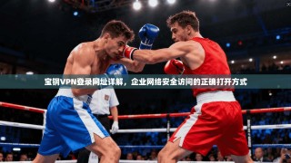 宝钢VPN登录网址详解，企业网络安全访问的正确打开方式