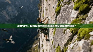 老鱼VPN，网络自由的隐形通道还是安全风险的暗礁？
