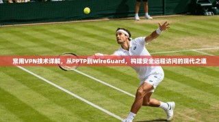 常用VPN技术详解，从PPTP到WireGuard，构建安全远程访问的现代之道