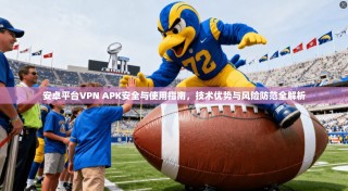 安卓平台VPN APK安全与使用指南，技术优势与风险防范全解析
