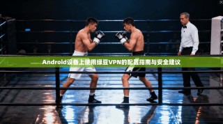 Android设备上使用绿豆VPN的配置指南与安全建议