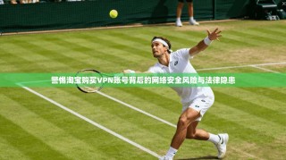警惕淘宝购买VPN账号背后的网络安全风险与法律隐患