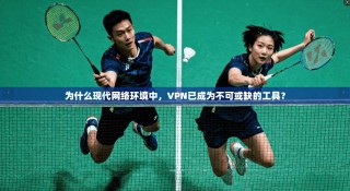 为什么现代网络环境中，VPN已成为不可或缺的工具？