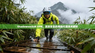 ShadowsocksR VPN，高效安全的网络代理技术解析