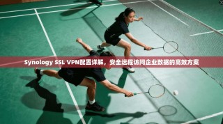 Synology SSL VPN配置详解，安全远程访问企业数据的高效方案