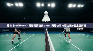 脸书（Facebook）是否需要使用VPN？网络访问与隐私保护的全面解析