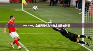 BO VPN，企业网络优化与安全连接的利器