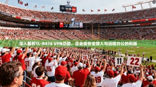 深入解析TL-R478 VPN功能，企业级安全接入与远程办公的利器