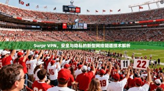 Surpr VPN，安全与隐私的新型网络隧道技术解析