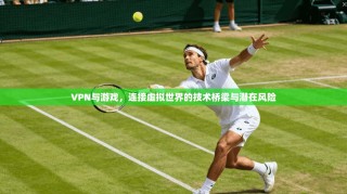 VPN与游戏，连接虚拟世界的技术桥梁与潜在风险