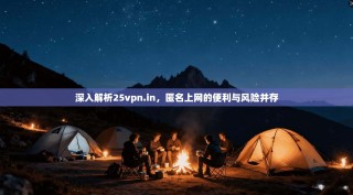 深入解析25vpn.in，匿名上网的便利与风险并存