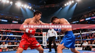 国内下载VPN的合规性与网络安全风险解析