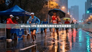 Witopia VPN 使用指南与网络安全性深度解析