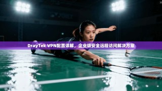 DrayTek VPN配置详解，企业级安全远程访问解决方案
