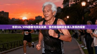 华农SSL VPN部署与优化实践，提升校园网安全接入效率的探索
