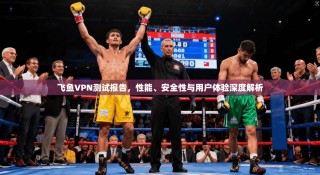 飞鱼VPN测试报告，性能、安全性与用户体验深度解析