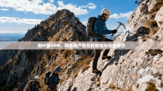 刷IP量VPN，网络黑产背后的隐忧与安全警示