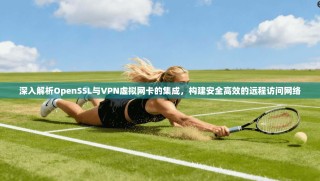 深入解析OpenSSL与VPN虚拟网卡的集成，构建安全高效的远程访问网络