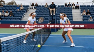 梅林固件下配置OpenVPN服务，打造私密高速网络通道的完整指南