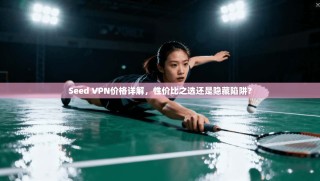 Seed VPN价格详解，性价比之选还是隐藏陷阱？