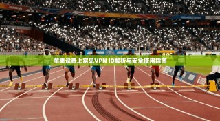 苹果设备上常见VPN ID解析与安全使用指南
