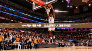 VPN网关对比分析，企业级与个人级选择指南