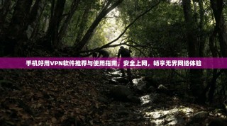 手机好用VPN软件推荐与使用指南，安全上网，畅享无界网络体验