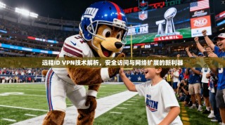 远程ID VPN技术解析，安全访问与网络扩展的新利器
