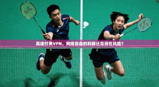 高速付费VPN，网络自由的利器还是潜在风险？