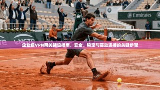 企业级VPN网关架设指南，安全、稳定与高效连接的关键步骤