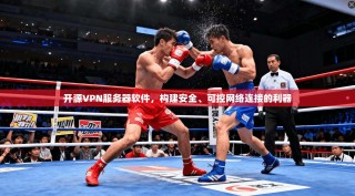 开源VPN服务器软件，构建安全、可控网络连接的利器