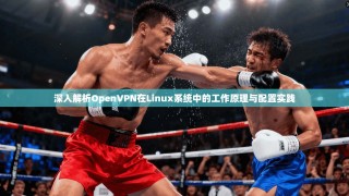 深入解析OpenVPN在Linux系统中的工作原理与配置实践