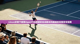 Linux环境下使用OpenVPN搭建安全远程访问通道的完整命令指南