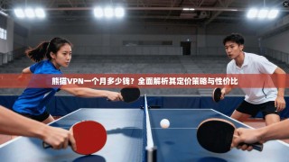 熊猫VPN一个月多少钱？全面解析其定价策略与性价比