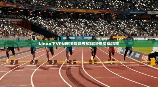 Linux下VPN连接验证与故障排查实战指南