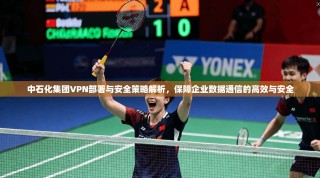 中石化集团VPN部署与安全策略解析，保障企业数据通信的高效与安全