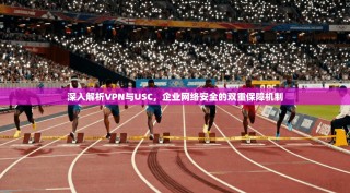 深入解析VPN与USC，企业网络安全的双重保障机制