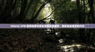SStorm VPN 使用指南与安全风险深度解析，网络自由背后的代价