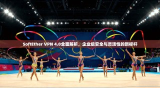 SoftEther VPN 4.0全面解析，企业级安全与灵活性的新标杆