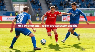 MSR VPN技术详解，企业级安全远程访问的可靠选择