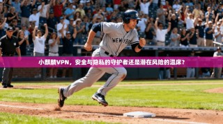 小麒麟VPN，安全与隐私的守护者还是潜在风险的温床？