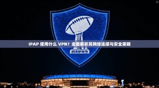IPAP 使用什么 VPN？全面解析其网络连接与安全策略