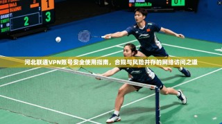 河北联通VPN账号安全使用指南，合规与风险并存的网络访问之道