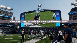 PandaPow VPN，企业级安全连接与远程办公的智能解决方案