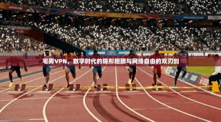 宅男VPN，数字时代的隐形翅膀与网络自由的双刃剑